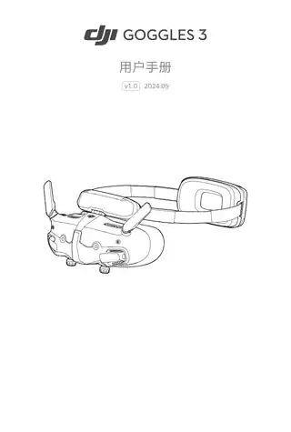 DJI大疆DJI 飞行眼镜 3